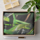 青いトンボきらめく翼絵画の 薄葉紙 (ギフト)