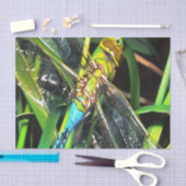 青いトンボきらめく翼絵画の 薄葉紙 (クラフト)