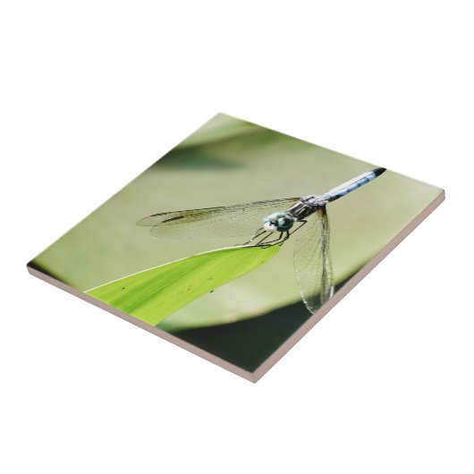 青いトンボの葉 タイル (側面)