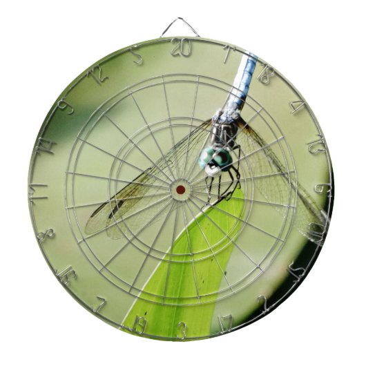 青いトンボの葉 ダーツボード (正面)