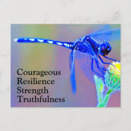 青いトンボ精神の特徴はがき ポストカード