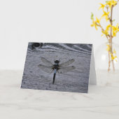 青いトンボ カード (黄色い花)