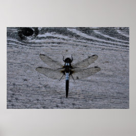 青いトンボ ポスター