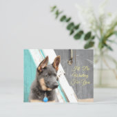 青いドイツの羊飼いがあなたを待っている ポストカード (スタンド正面)