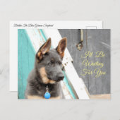 青いドイツの羊飼いがあなたを待っている ポストカード (正面/裏面)