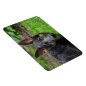 青いドイツの羊飼い マグネット (右側)