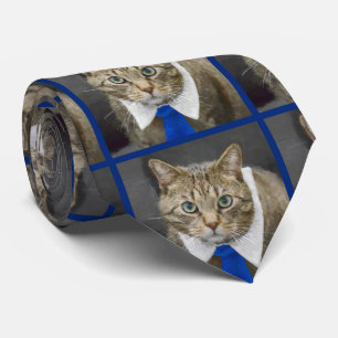 青いネクタイをはめたかわいいタビー猫 ネクタイ