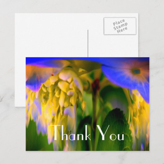 青いハイドランジアの抽象的な花の感謝のポストカード ポストカード (正面/裏面)