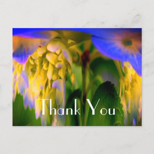 青いハイドランジアの抽象的な花の感謝の気持ちのポストカード ポストカード (正面)
