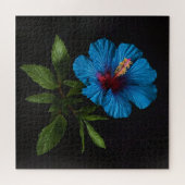 青いハイビスカスの花(黒) ジグソーパズル (横)