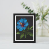 青いハイビスカスの花（黒） ポストカード (スタンド正面)
