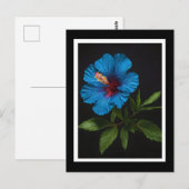 青いハイビスカスの花（黒） ポストカード (正面/裏面)