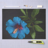 青いハイビスカスフラワーオンブラック、デコページ 薄葉紙 (クラフト)