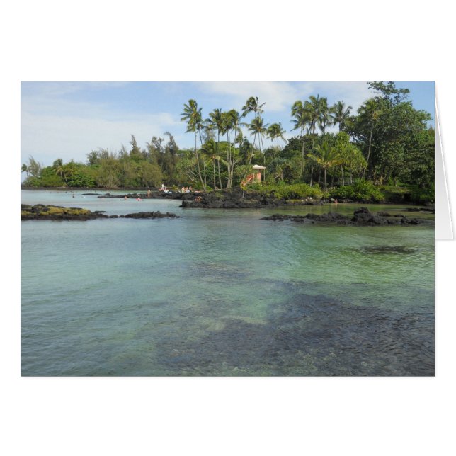 青いハワイ (正面横)