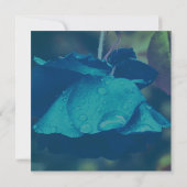 青いバラと雨滴の花 招待状 (裏面)