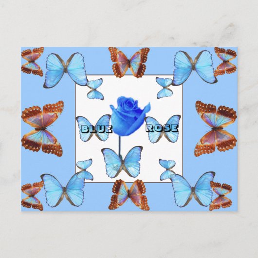 青いバラのポストカード! ポストカード (正面)