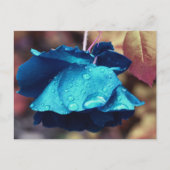 青いバラの花のカスタマイズカード ポストカード (正面)