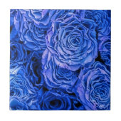 青いバラ タイル (正面)