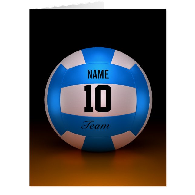 青いバレーボール (正面)