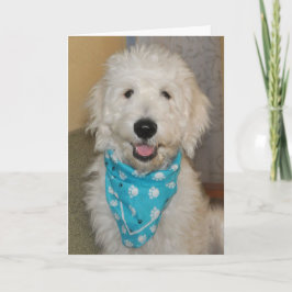 青いバンダナカードのGoldendoodle カード