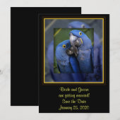 青いパラオの結婚式 セーブザデート (正面/裏面)