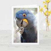 青いパラットの肖像 カード (黄色い花)