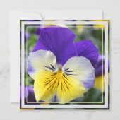 青いパンジーの花 すべてのパーティーの招待状 招待状 (裏面)
