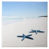 青いヒトデ タイル (正面)