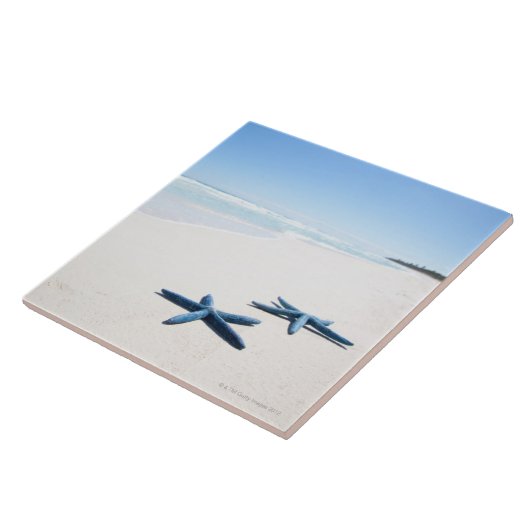 青いヒトデ タイル (側面)