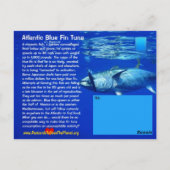 青いヒレのマグロが釣り過ぎ、絶滅危惧種に近い – ポストカード (裏面)