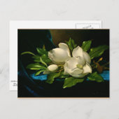 青いビロードの布に乗った巨大マグノリア ポストカード (正面/裏面)