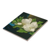 青いビロードの布の巨大なマグノリア、c.1890 (oi タイル (側面)