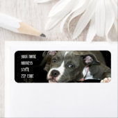 青いピットブルの子犬の住所 シール (インサイチュ)