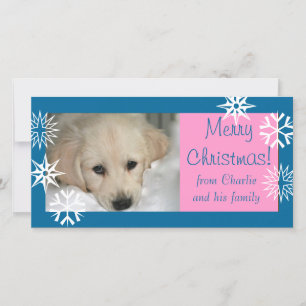 青いピンクの雪片犬のクリスマスの写真カード シーズンカード