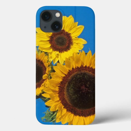青いフェンスを背景にしたひまわり Case-Mate iPhoneケース (裏面)