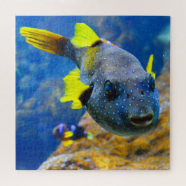青いフグ、黄色いフィンと斑点 ジグソーパズル