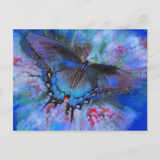 青いフライト、はがき ポストカード