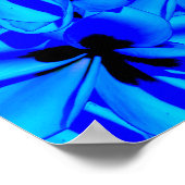 青いフランギパニの花、 ポスター (角)