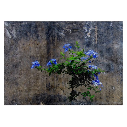 青いプラムバゴの花 カッティングボード (正面)