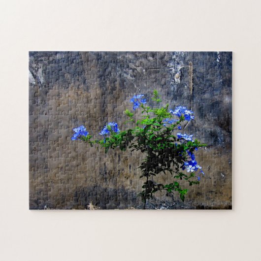 青いプラムバゴの花 ジグソーパズル (横)