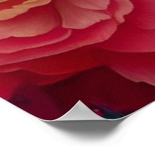 青いプリンセス ポスター (角)