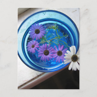 青いプールの花 ポストカード