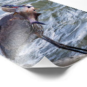 青いヘロン素晴らしを表示 フォトプリント            (角)