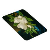 青いベルベットの布に巨大なマグノリアス， c.1890 (oi マグネット (右側)