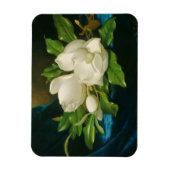 青いベルベットの布に巨大なマグノリアス， c.1890 (oi マグネット (縦)