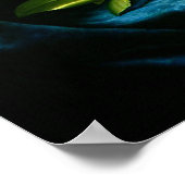 青いベルベットの布のポスターに巨大なマグノリア ポスター (角)