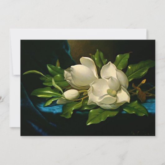 青いベルベットの布の上の巨大なマグノリア カード (正面)