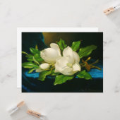 青いベルベットの布の上の巨大なマグノリア(ヒード) カード (正面/裏面インサイチュ)