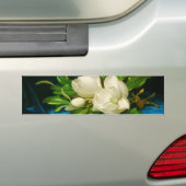 青いベルベットの布の上の巨大なマグノリア(ヒード) バンパーステッカー (車上)