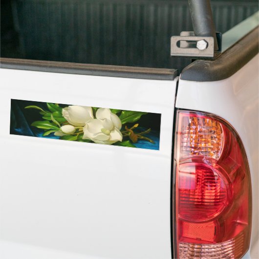 青いベルベットの布の上の巨大なマグノリア(ヒード) バンパーステッカー (トラック上)